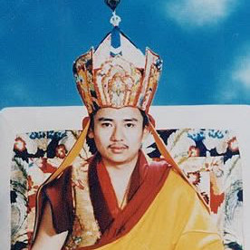 Palyul Choktrul 4th Rinpoche