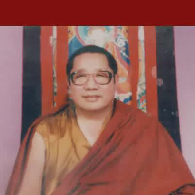 Penor Rinpoche