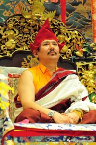 Palyul Choktrul Rinpoche